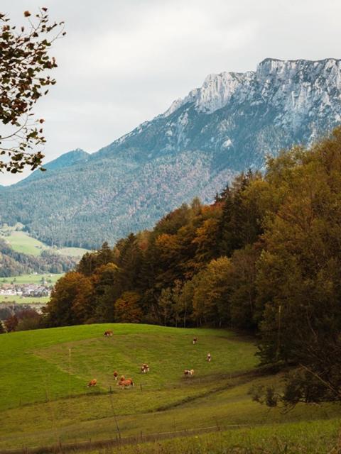 Das Luegstein Kiefersfelden Esterno foto